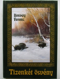 Ilosvay Ferenc: