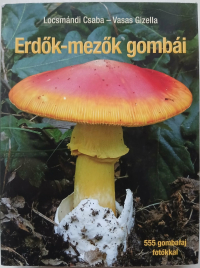 Locsmándi Caba-Vasas Gizella